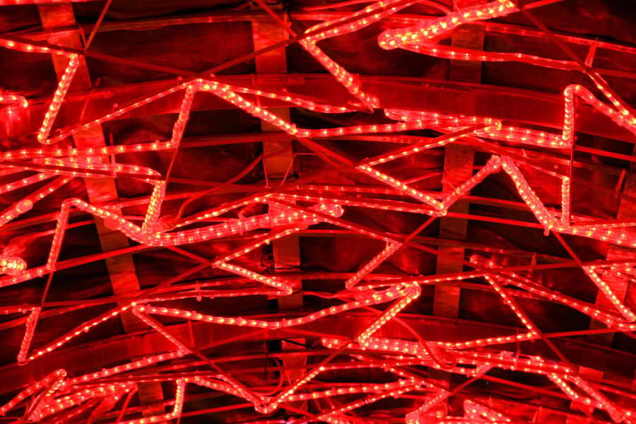 Vancouvers Festive Shoreline: A Christmas Walking Tour - The Practical Side: What You Need to Know