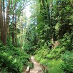 Vancouver's Natural Stair Master Workout, With Beach Walk - The Itinerary in Detail