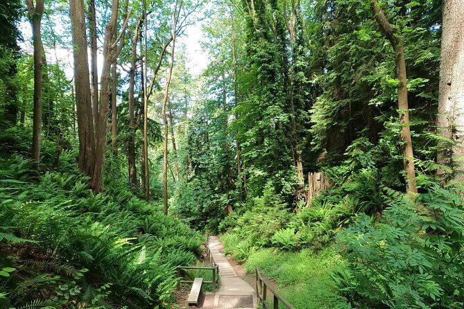 Vancouver's Natural Stair Master Workout, With Beach Walk - The Itinerary in Detail