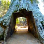 Vegas: Death Valley, Yosemite & San Francisco 4-Day Tour - What the Tour Includes and What It Means for You