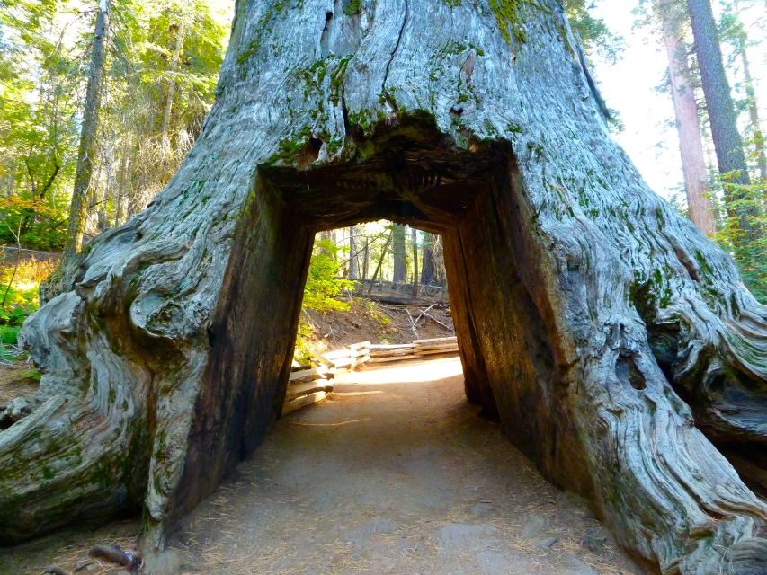 Vegas: Death Valley, Yosemite & San Francisco 4-Day Tour - What the Tour Includes and What It Means for You