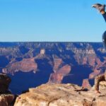 Vegas: Grand Canyon National Park South w/Lunch, Free WiFi - Scenic Stops and Key Attractions