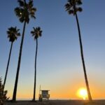 Venice Beach : French guided walking tour - The Value of the Tour