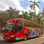 Veracruz: Panoramic Sightseeing City Tour and Aquarium - What Sets This Tour Apart?