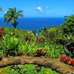 Viator Exclusive: Maui Tropical Rainforest Small Group Tour - The Sum Up
