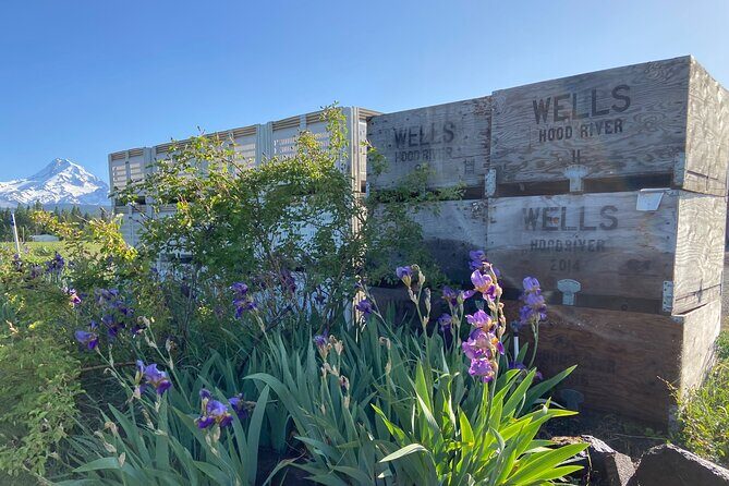 Viator Exclusive: Wyeast Adventure Cycling in Portland - Authentic Traveler Insights