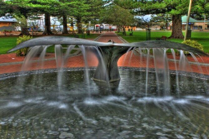 Victor Harbor and Fleurieu Peninsula Tour - The Value and Who It’s Best For