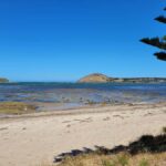 Victor Harbor: Shipwrecks & Settlers Walking Tour - Who Will Appreciate This Tour?