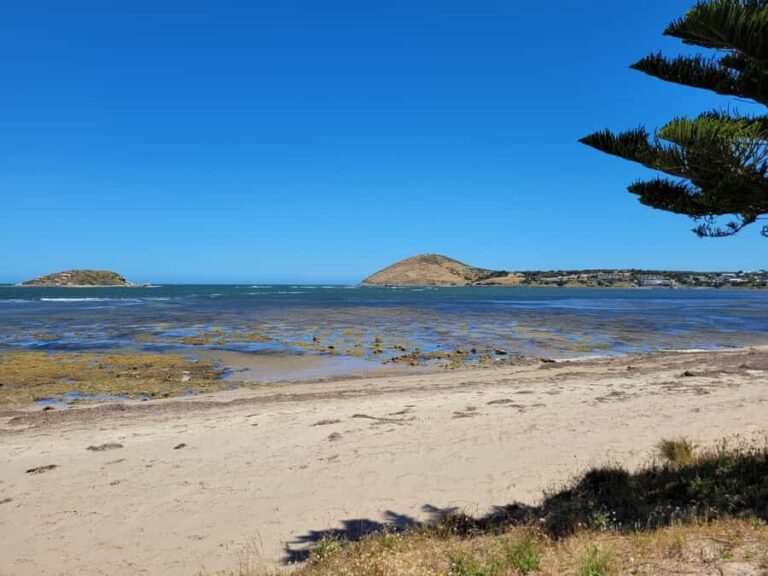 Victor Harbor: Shipwrecks & Settlers Walking Tour - Who Will Appreciate This Tour?