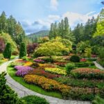 Victoria and Butchart Gardens, an Elevated Experience - Who Would Love This Tour?
