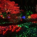 Victoria and Butchart Gardens Christmas Tour - What the Reviews Say