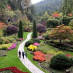 Victoria, BC: City Tour and Butchart Gardens Combo Tour - Why the City Tour Works
