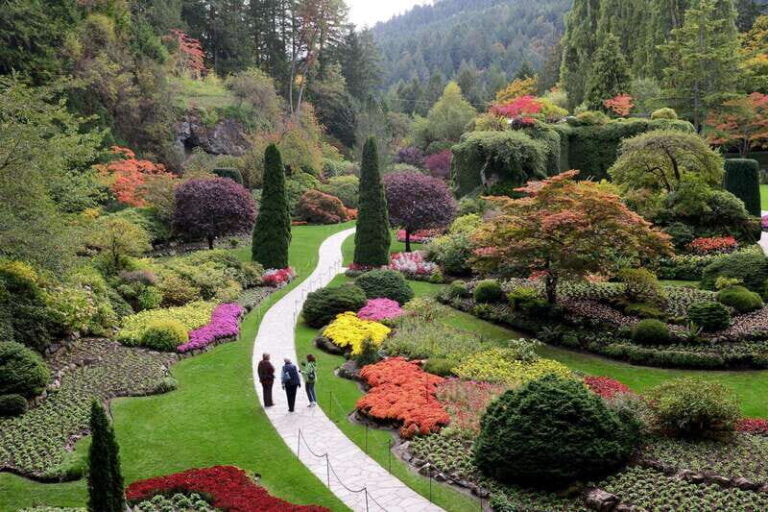 Victoria, BC: City Tour and Butchart Gardens Combo Tour - Why the City Tour Works