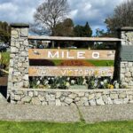 Victoria City 2hr Express Tour  Private (Day or Night, 16pax) - What Travelers Say