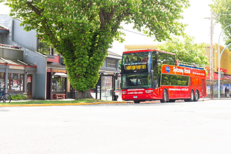 Victoria: Hop-On-Hop-Off Sightseeing Bus Tour - Who is this tour best suited for?