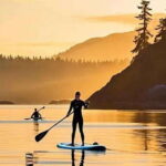 Victoria: Paddle Board Tour at Willows Beach - Practical Tips for Your Paddle Board Adventure