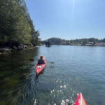 Victoria: Single Sea Kayak Rental - Why It’s a Great Choice for Certain Travelers
