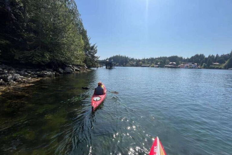 Victoria: Single Sea Kayak Rental - Why It’s a Great Choice for Certain Travelers