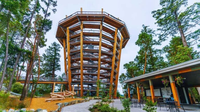 Victoria: Skywalk & Hatley Castle Private Tour - Who Is This Tour Best For?