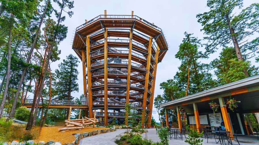 Victoria: Skywalk & Hatley Castle Private Tour - Who Is This Tour Best For?