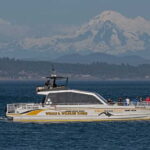 Victoria: Sunset Whale Watching Tour on Semi-Covered Boat - Final Thoughts