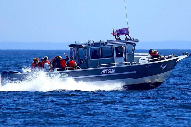 Victoria Ultimate Marine Whale & Wildlife Tour - The Value for Money