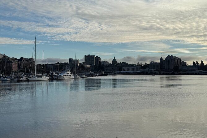 Victoria Vistas and Views Progressive Food Tour - The Views: The Real Highlight