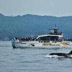 Victoria Whale and Wildlife Cruise - Who Is This Tour Best For?