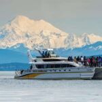 Victoria: Whale and Wildlife Semi-Covered Boating Tour - What Could Be Better?