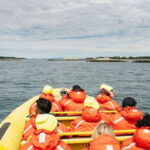 Victoria: Whale Watching Adventure in a Zodiac Boat - Comfort and Practicalities