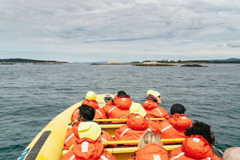 Victoria: Whale Watching Adventure in a Zodiac Boat - Comfort and Practicalities