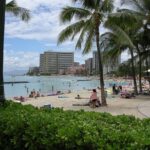 Vida Mia Morning Coffee Cruise - The Itinerary—What to Expect