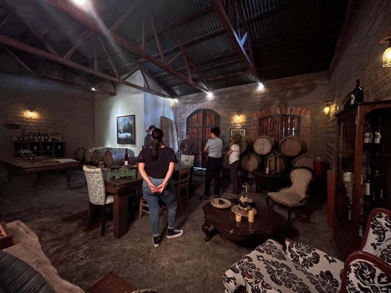 Viña Cordelia: Guided visit to the vineyard - What Travelers Are Saying