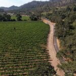 Vine Trail Discovery E-Bike Tour - The Stops and Highlights