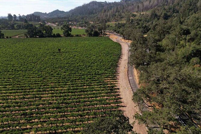 Vine Trail Discovery E-Bike Tour - The Stops and Highlights