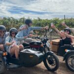 Vineyard Rides San Luis Obispo Sidecar Wine Adventure - Key Points