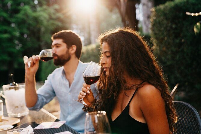 Vino Voyage Niagara Wine Country Bus Tour - What Travelers Say