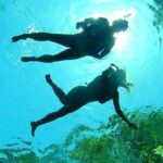 VIP Cenotes Private Tour (half-day) - The Stops: What You’ll Experience