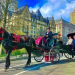 VIP Central Park Experience Tour with photos 50min~Skip the line - FAQs