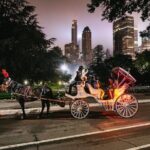 VIP Horse Carriage Ride through Central Park (Up to 4 Adults) - How the Experience Feels