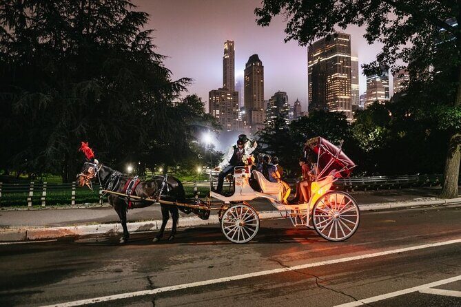 VIP Horse Carriage Ride through Central Park (Up to 4 Adults) - How the Experience Feels