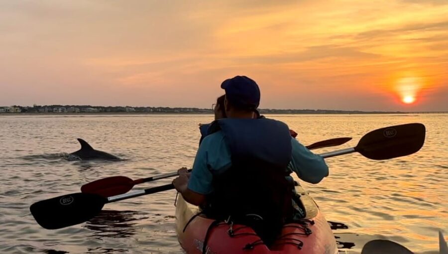 Virginia Beach: Dolphin Kayak Tour: This is a Workout! - The Paddling Experience: What You Need to Know