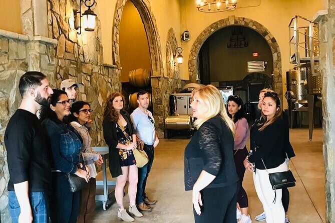 Virginia Wineries Guided Tour & Tastings from Washington DC - Who Is This Tour Best For?