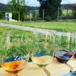 Virginia Wineries Tour - What the Reviews Say (Based on Available Feedback)