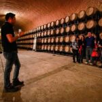 Visit 1 Cheese Factory and 2 Vineyards, starting from Querétaro - Practical Details & Considerations