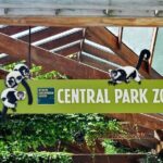 Visit Central Park Zoo & 3h Manhattan Walking Tour - What’s Included and What’s Not