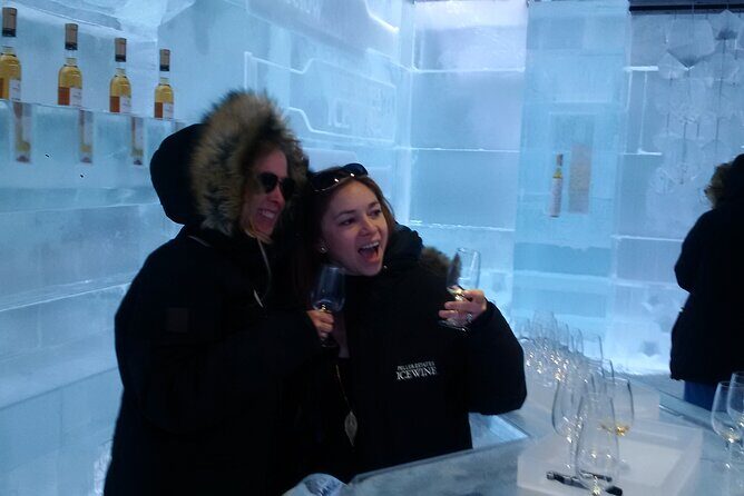 Visit Niagara Falls and experience a VIP Wine Tour - Who Should Consider This Tour?