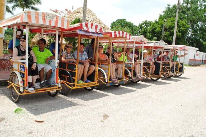 Visit to a Mayan Community. Living Culture, Traditions and Cenote - A Deep Look at the Experience