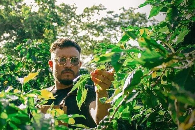 Visit to Coffee Farm with Tasting in Coatepec - Practical Details: What You Need to Know