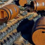 Visit to Matices Hotel de Barricas in Tequila Jalisco - Detailed Breakdown of the Experience